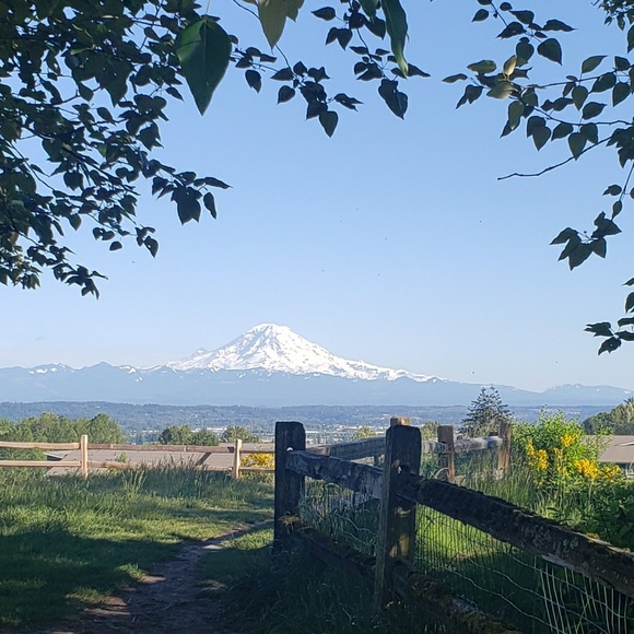 rrambayon